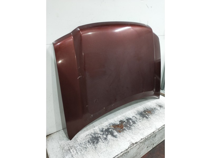 Recambio de capot para ford expedition referencia OEM IAM   