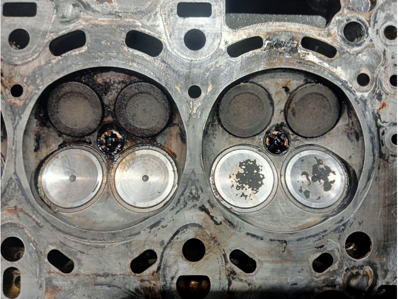 Recambio de culata para bmw serie 3 compact (e46) referencia OEM IAM 75054229 11127506728D 99085100