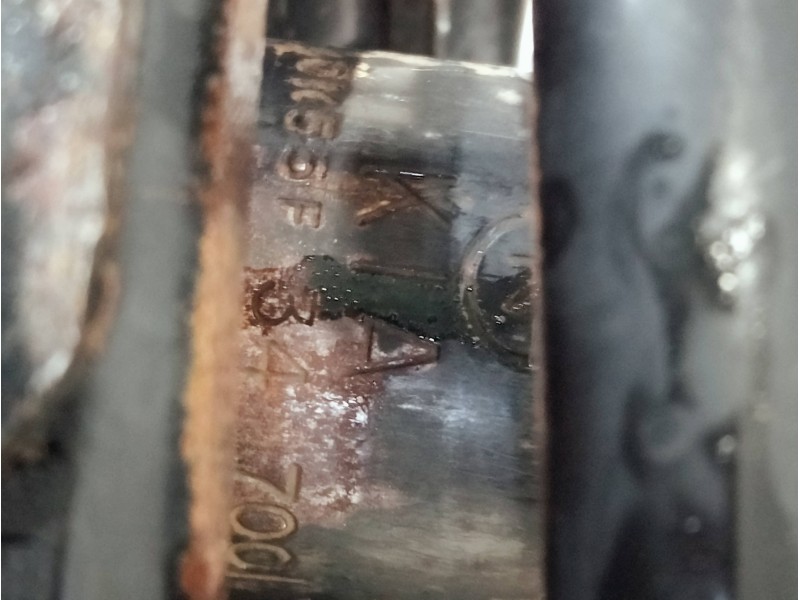 Recambio de amortiguador delantero derecho para kia carnival td ls referencia OEM IAM 0K55F34700  