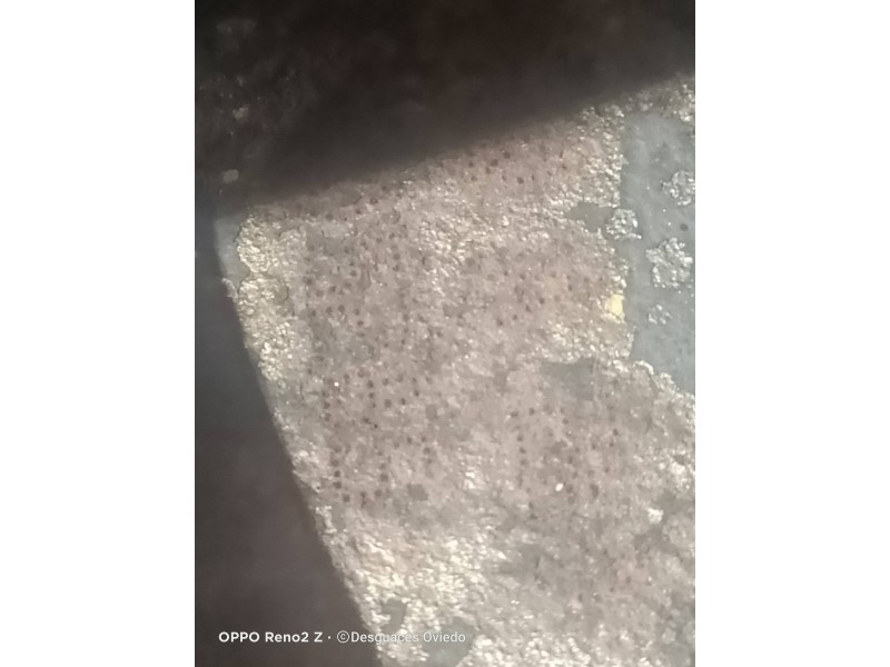 Recambio de motor completo para nissan primera berlina (p12) acenta referencia OEM IAM F9QA260 C005285 BOSCH