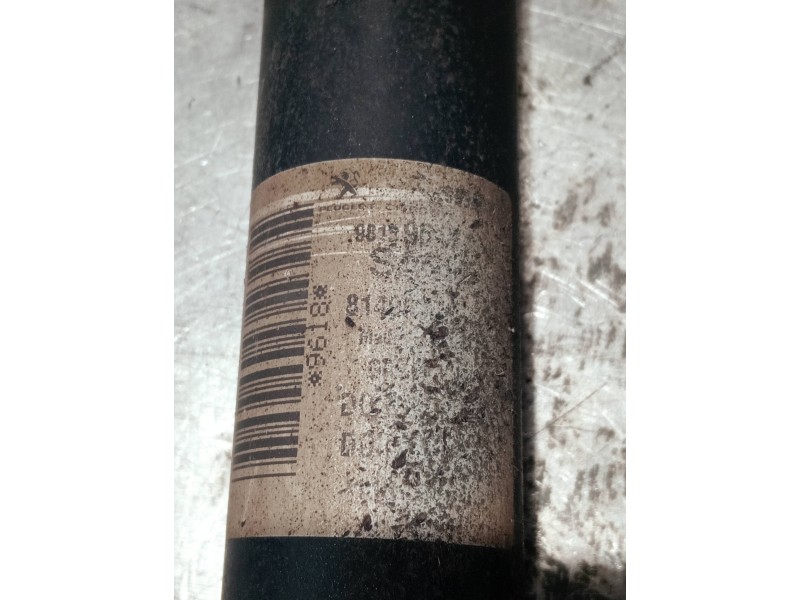 Recambio de amortiguador trasero derecho para peugeot expert kasten referencia OEM IAM 981396188000 814903013549 