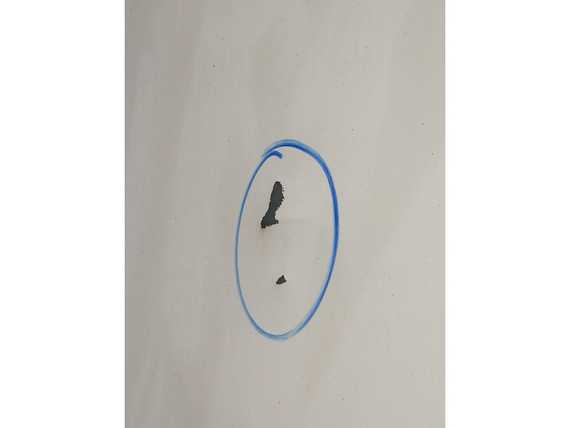 Recambio de puerta trasera izquierda para iveco daily caja cerrada (1999 =>) referencia OEM IAM   5P