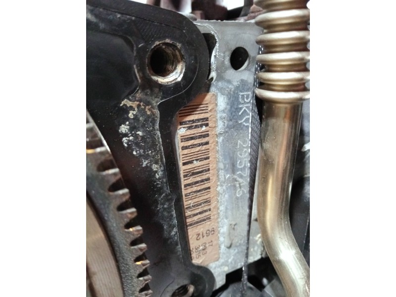 Recambio de motor completo para volkswagen polo (9n3) referencia OEM IAM BKY 295746 