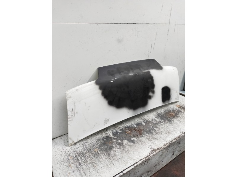 Recambio de capot para fiat ducato caja cerrada (desde 03.94) referencia OEM IAM   