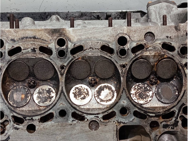 Recambio de culata para bmw serie 5 berlina (e39) referencia OEM IAM 1436793 1928403154 111214329290