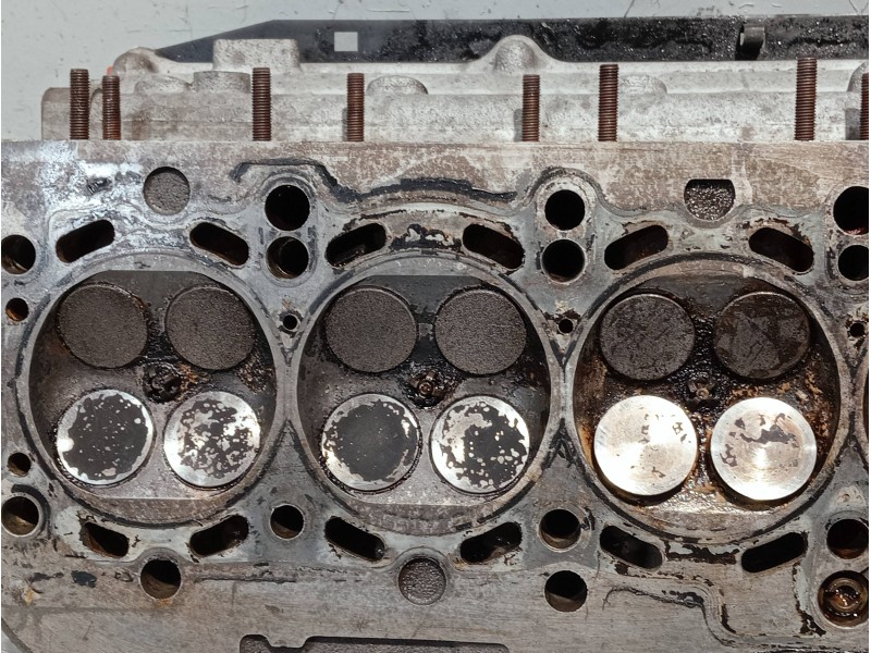 Recambio de culata para bmw serie 5 berlina (e39) referencia OEM IAM 1436793 1928403154 111214329290