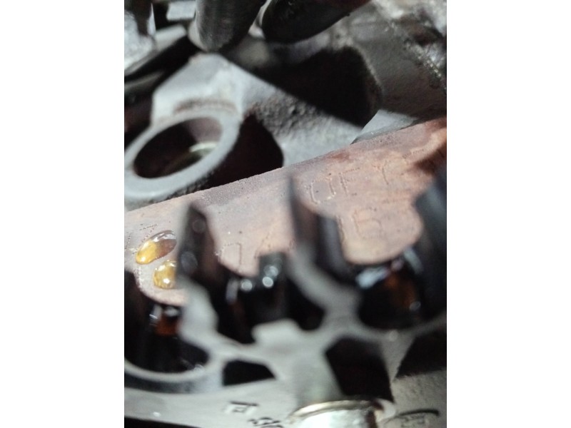 Recambio de motor completo para citroen saxo 1.5 d image referencia OEM IAM VJZ 10FYSQ 044363 