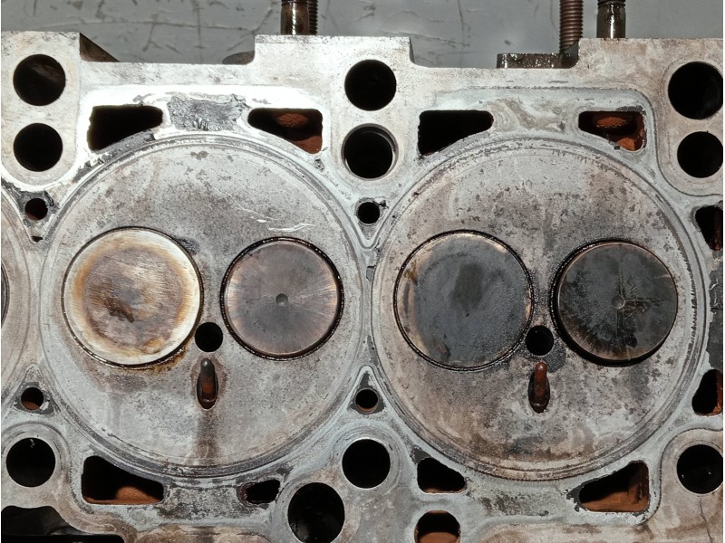 Recambio de culata para seat ibiza (6j5) referencia OEM IAM 038103373R 03G103469G BLS