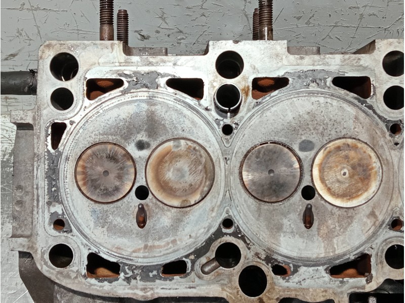 Recambio de culata para seat ibiza (6j5) referencia OEM IAM 038103373R 03G103469G BLS