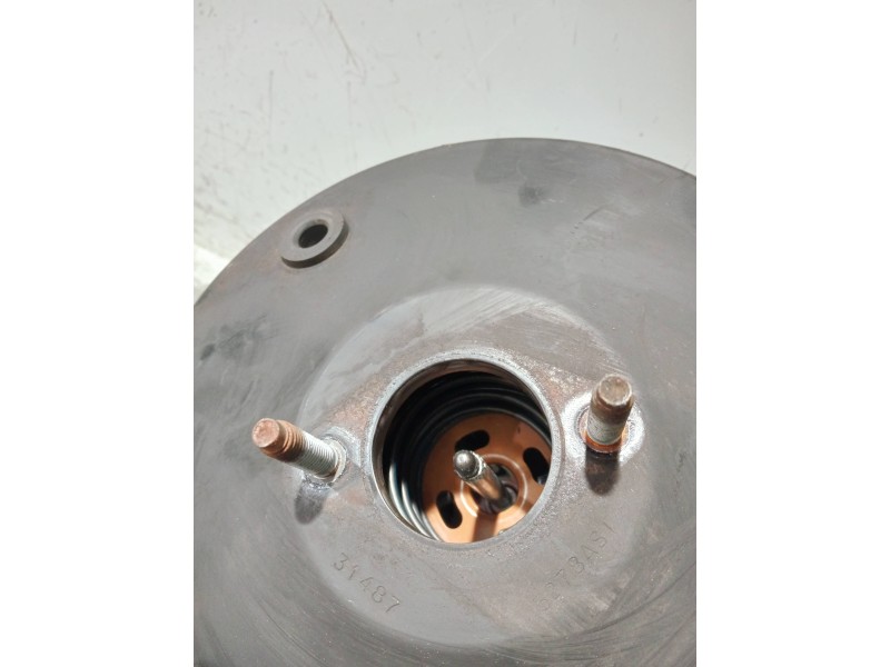 Recambio de servofreno para renault mascott fg 160. 35/55/65 cabina individual referencia OEM IAM 0204051183 5010612642 