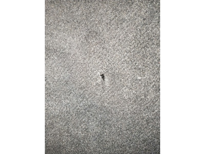 Recambio de bandeja trasera para seat leon sc (5f5) referencia OEM IAM  OJO VER FOTOS 