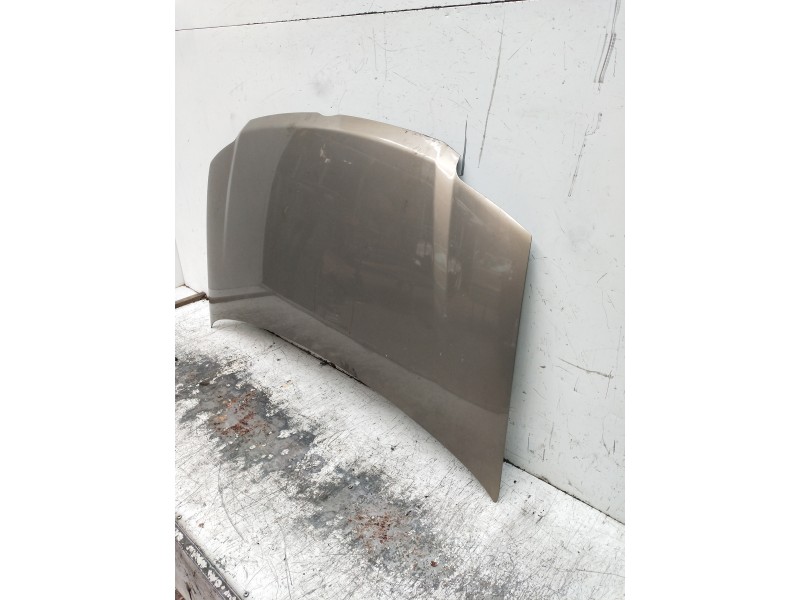 Recambio de capot para fiat panda (169) referencia OEM IAM   