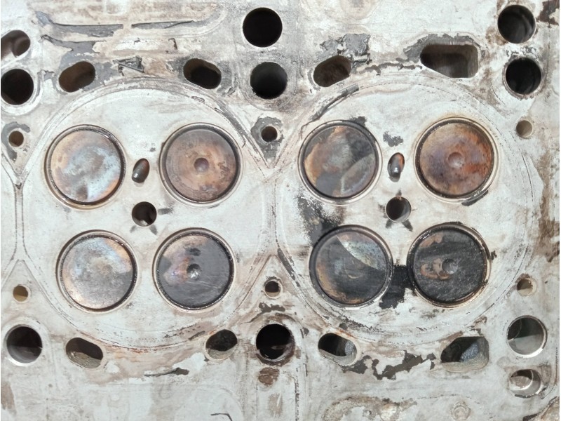 Recambio de culata para fiat panda (169) referencia OEM IAM 55193109  