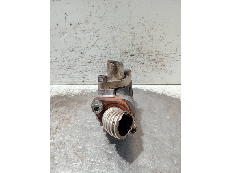 Recambio de valvula egr para fiat sedici (189) referencia OEM IAM 50024005 06T334 55205455