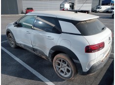 citroen c4 cactus del año 2020 2