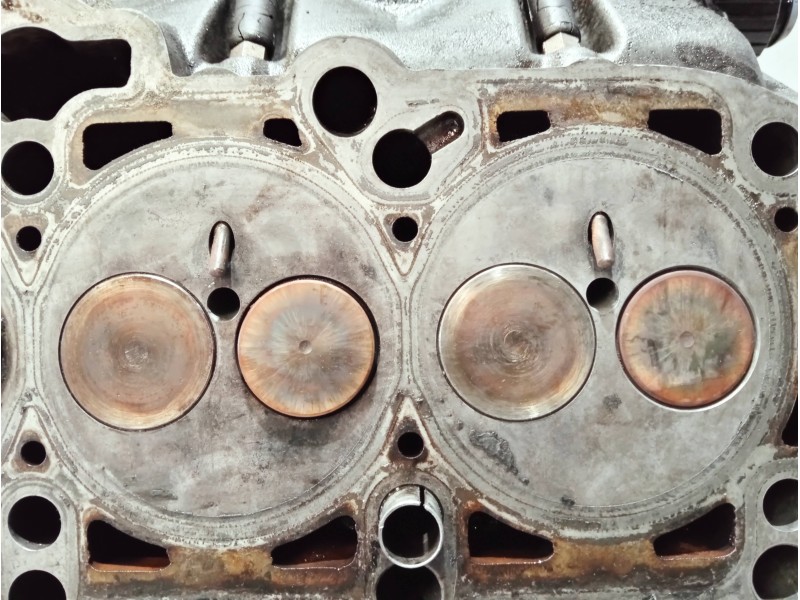 Recambio de culata para volkswagen caddy ka/kb (2k) referencia OEM IAM 038103373R BLS 