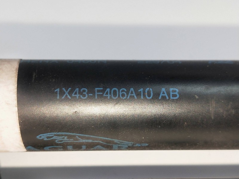 Recambio de amortiguadores maletero / porton para jaguar x-type 2.0 diesel cat referencia OEM IAM 1X43F406A10AB  