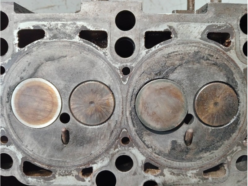 Recambio de culata para volkswagen caddy ka/kb (2k) referencia OEM IAM 038103373R BLS 