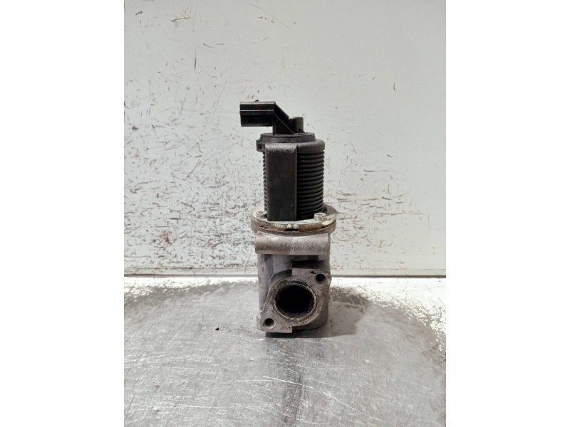 Recambio de valvula egr para fiat doblo (119) referencia OEM IAM 50024004  
