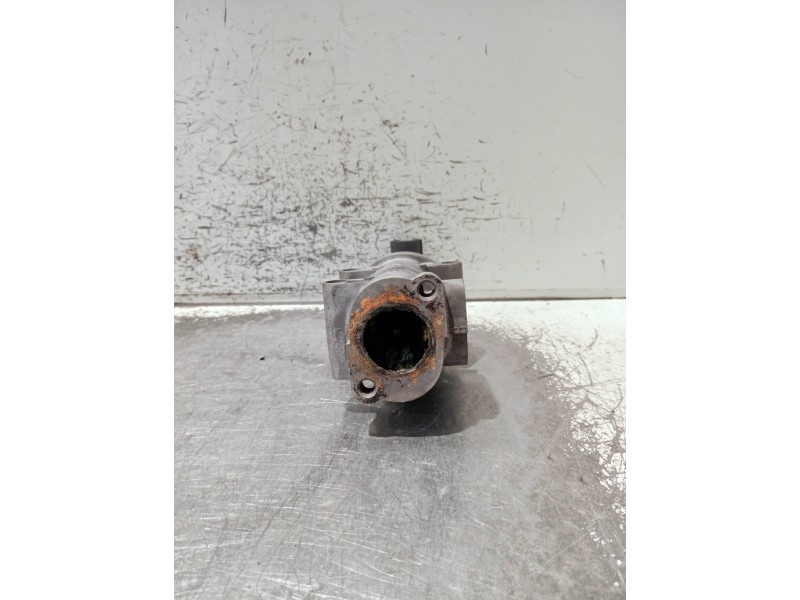 Recambio de valvula egr para fiat doblo (119) referencia OEM IAM 50024004  