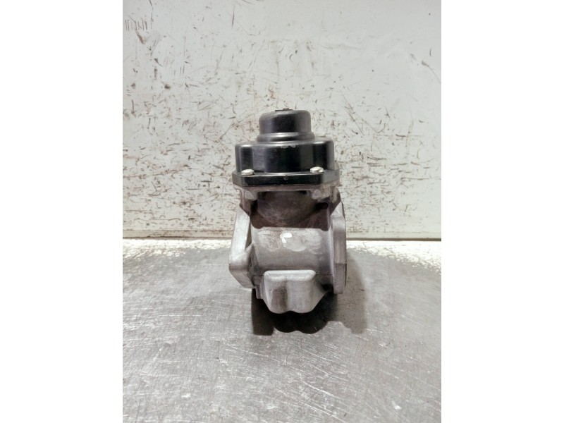 Recambio de valvula egr para seat leon (1p1) referencia OEM IAM VASV29007935  