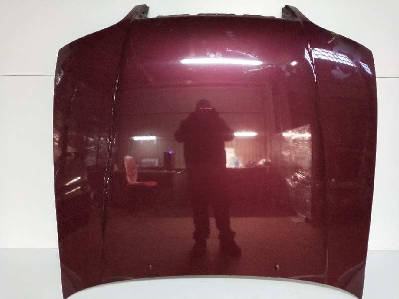 Recambio de capot para lexus gs300 (jzs147) edition referencia OEM IAM 5330130310  