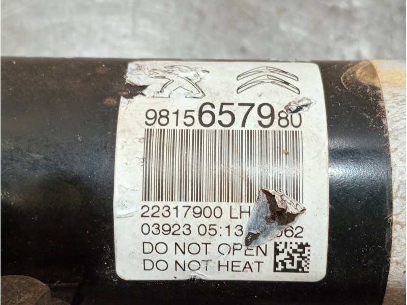 Recambio de amortiguador delantero izquierdo para citroen c3 referencia OEM IAM 9815657980 22317900 