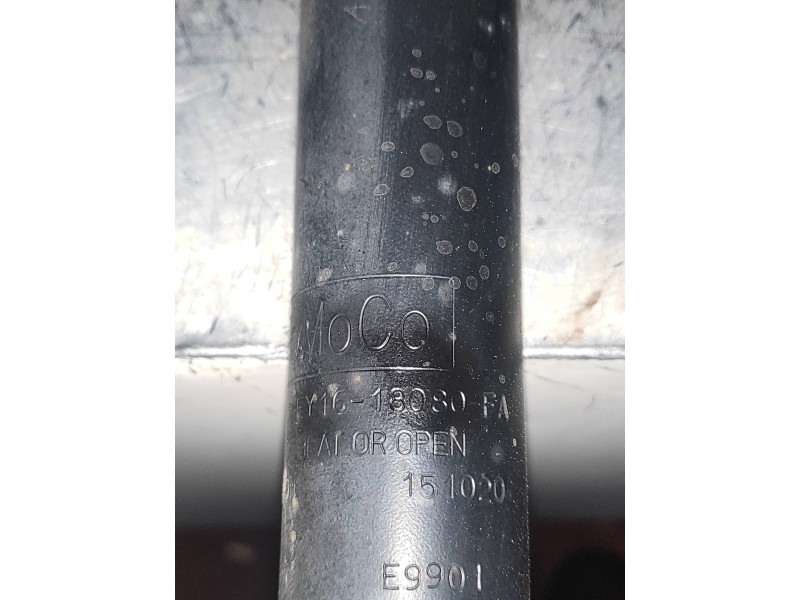 Recambio de amortiguador trasero izquierdo para ford tourneo courier (c4a) ambiente referencia OEM IAM EY1618080FA  