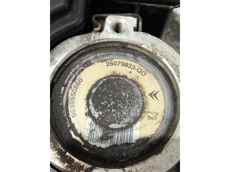 Recambio de bomba direccion para peugeot 206 berlina referencia OEM IAM 9639650880 26079833Q0 