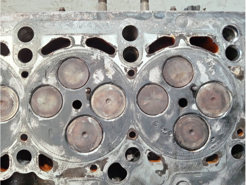 Recambio de culata para audi a4 avant (8e) referencia OEM IAM 03G103373A BLB 