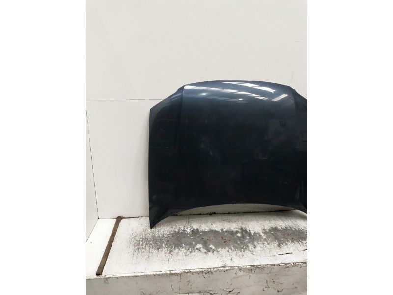 Recambio de capot para volkswagen passat berlina (3b3) referencia OEM IAM   