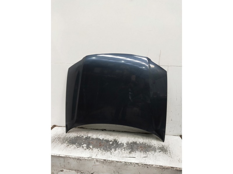 Recambio de capot para volkswagen passat berlina (3b3) referencia OEM IAM   