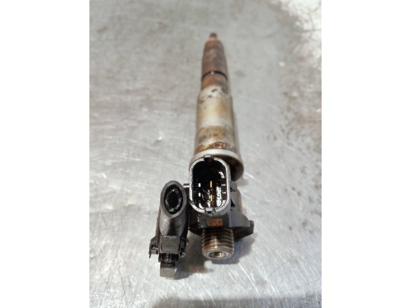 Recambio de inyector para nissan qashqai (j10) referencia OEM IAM 804536BH8 0445115007 2409398 / BOSCH