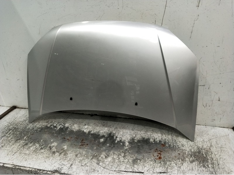 Recambio de capot para hyundai getz (tb) referencia OEM IAM   