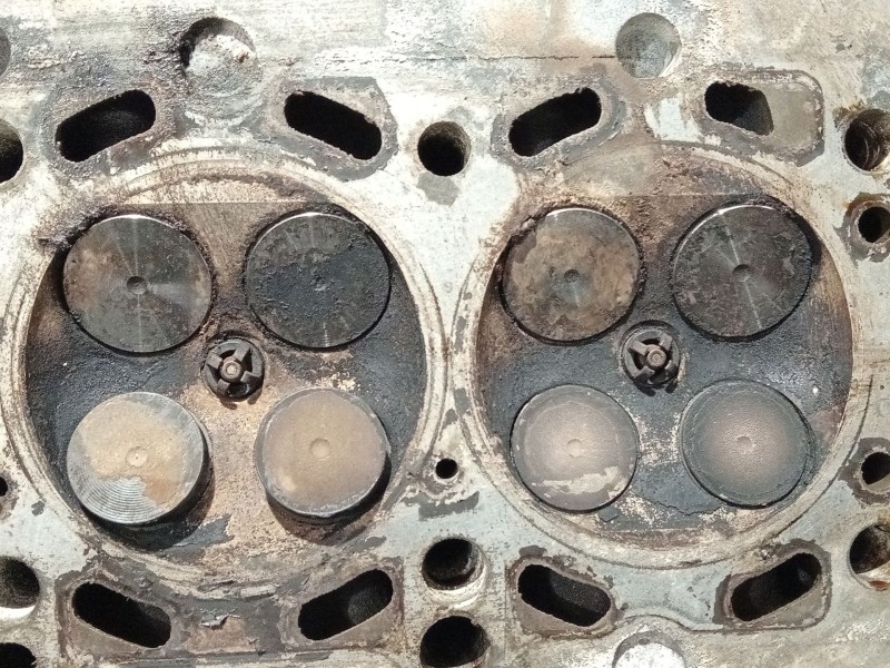 Recambio de culata para bmw serie 3 berlina (e46) referencia OEM IAM   