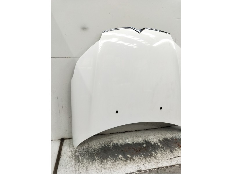 Recambio de capot para citroën c5 station wagon business class referencia OEM IAM   