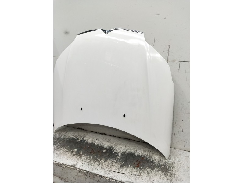 Recambio de capot para citroën c5 station wagon business class referencia OEM IAM   