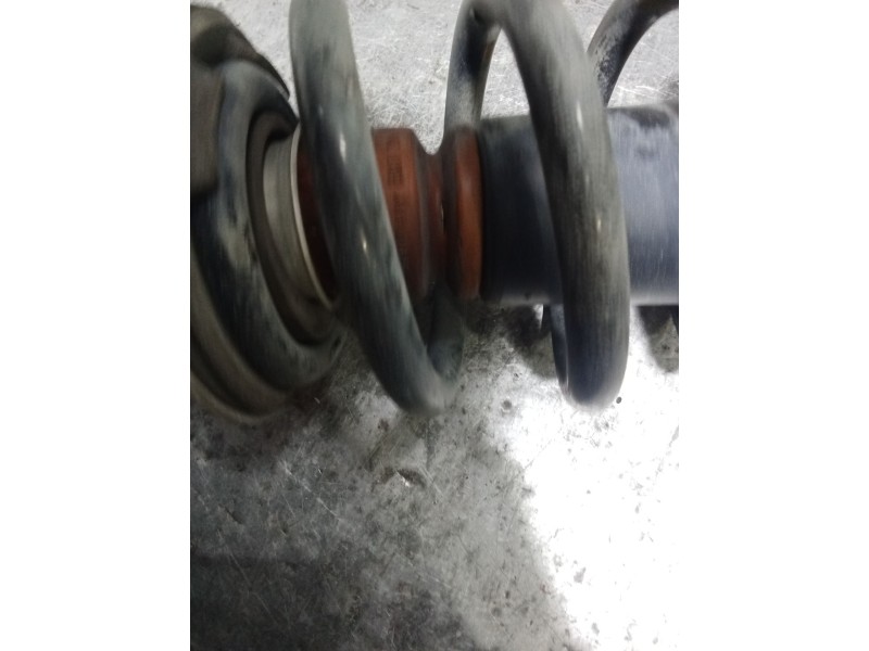 Recambio de amortiguador delantero derecho para volkswagen passat berlina (3b3) executive referencia OEM IAM   