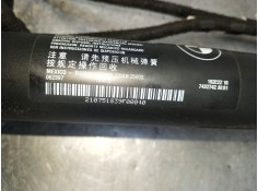 Recambio de amortiguadores maletero / porton para bmw x3 (f25) referencia OEM IAM 210751839F   2