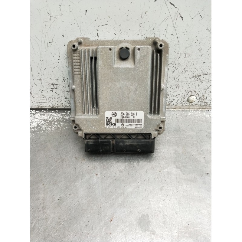 Recambio de centralita motor uce para volkswagen golf plus v (5m1, 521) 2.0 tdi 16v referencia OEM IAM 0281011956 03G906016T 