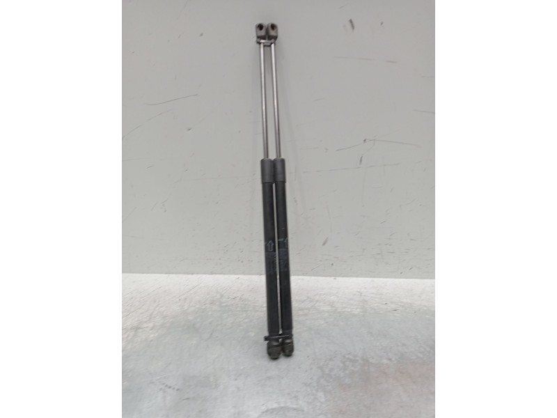 Recambio de amortiguadores capo para jaguar f-pace referencia OEM IAM 4440800150n hk8316c826  