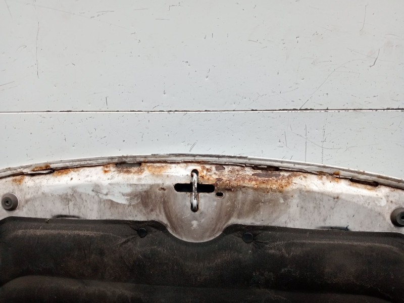 Recambio de capot para citroën berlingo / berlingo first furgoneta/monovolumen (m_) 1.6 hdi 75 (mb9hw) referencia OEM IAM   