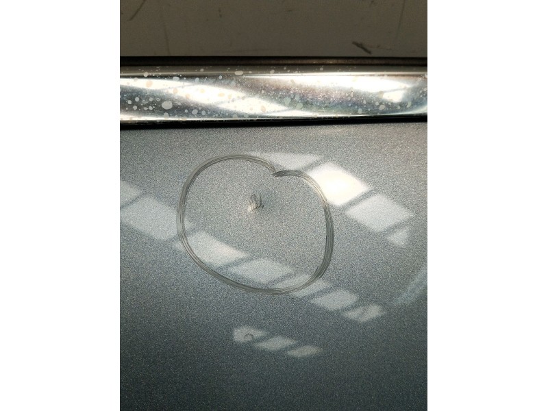 Recambio de puerta trasera izquierda para audi a4 b7 (8ec) 2.0 tdi 16v referencia OEM IAM  4P 