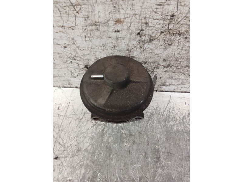 Recambio de valvula egr para chevrolet captiva (c100, c140) 2.0 d referencia OEM IAM   