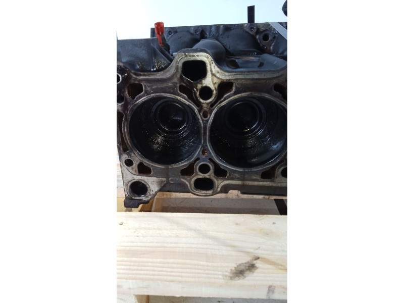 Recambio de bloque para iveco daily iv caja/chasis 35c13, 35c13 /p, 35s13 d, 35s13, 35s13 /p referencia OEM IAM F1AE0481G  0A007