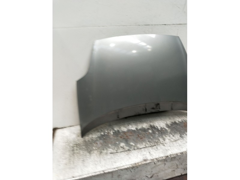 Recambio de capot para fiat grande punto (199_) 1.3 d multijet referencia OEM IAM   