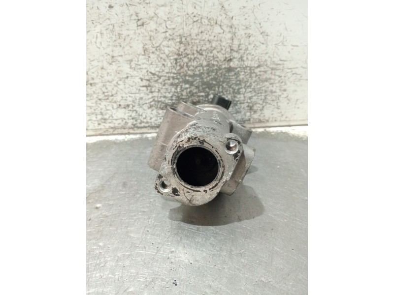 Recambio de valvula egr para fiat doblo cargo (223) 1.9 jtd furg. acristalado referencia OEM IAM 50024005  