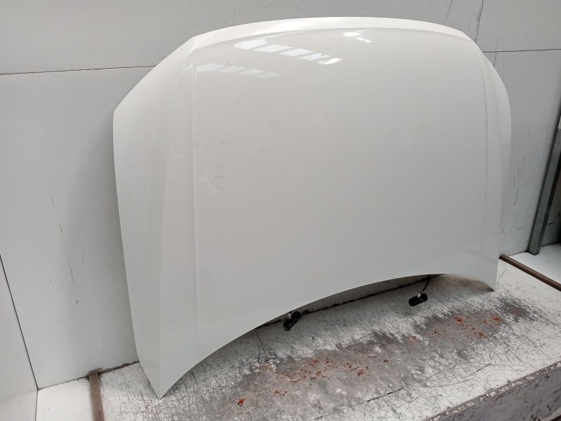 Recambio de capot para volkswagen tiguan (ad1, ax1) 2.0 tdi referencia OEM IAM   