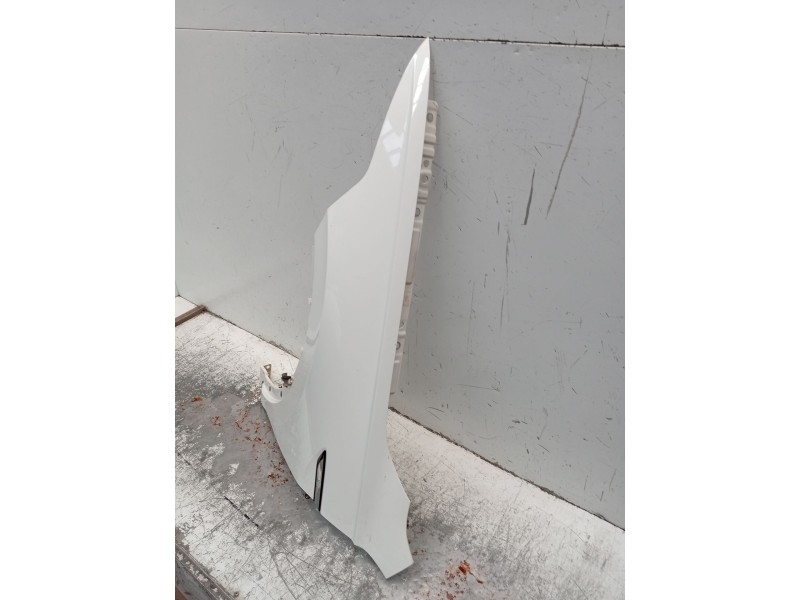 Recambio de aleta delantera izquierda para volkswagen tiguan (ad1, ax1) 2.0 tdi referencia OEM IAM   