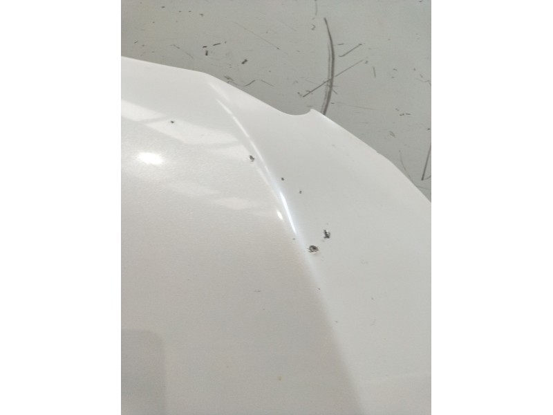 Recambio de capot para subaru outback (br) 2.0 d awd (brd) referencia OEM IAM   